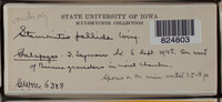 Image Associated With the Occurrence